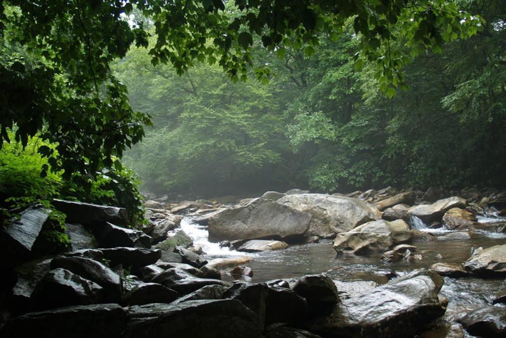Downtown Gatlinburg Gem 102 - Walk To The Shops & Trails Apartment Exterior photo